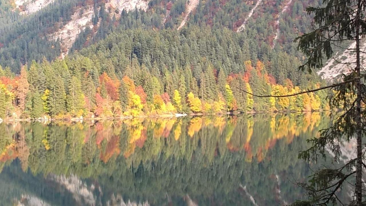 Appartamento Da Romina Con Parcheggio Gratuito Санцено Экстерьер фото